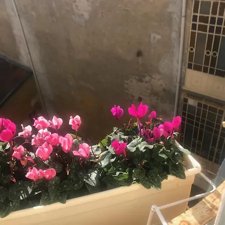 A Due Passi Dal Duomo * 比耶拉
